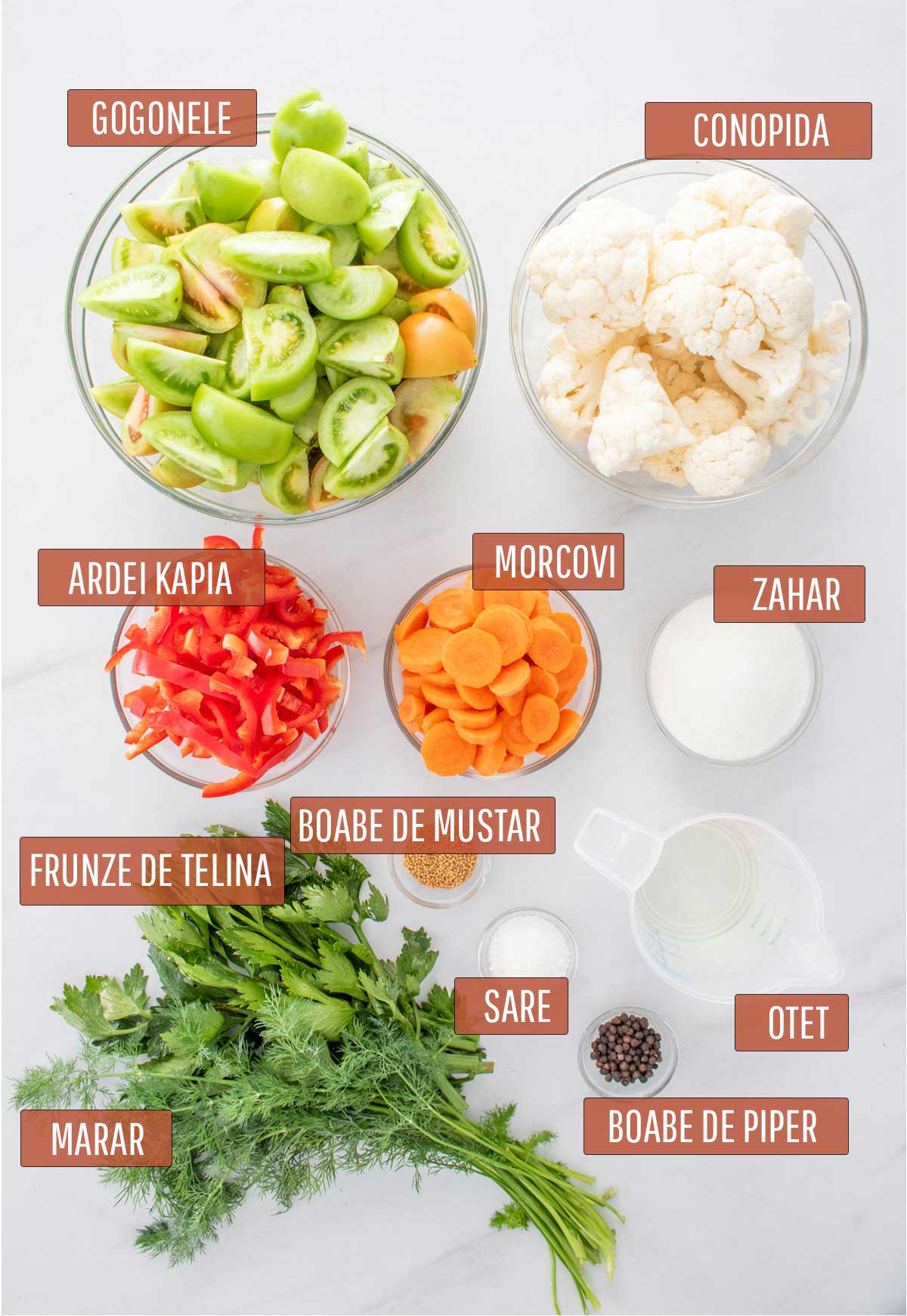 Poza cu ingredientele necesare pentru salata de gogonele.